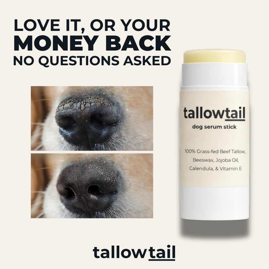 TallowTail™ l Dog Balm Stick