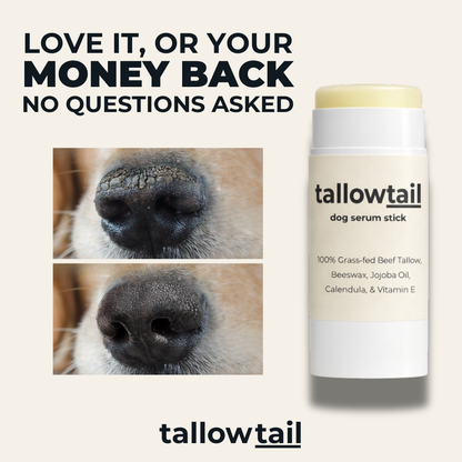 TallowTail™ l Dog Balm Stick