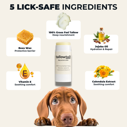 TallowTail™ l Dog Balm Stick